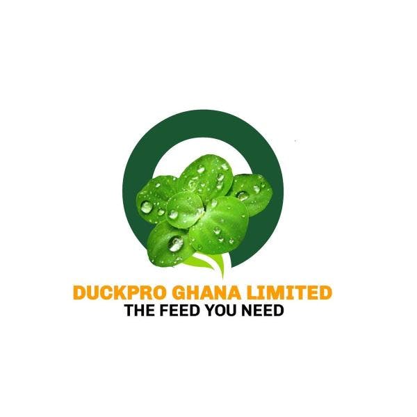 Duckpro Ghana Limited